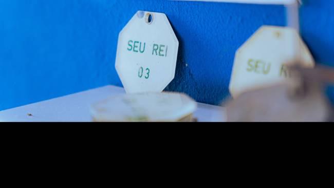 Still - Festa Pai Rei das Ervas